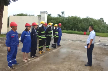 蓝月亮料全年资料大全